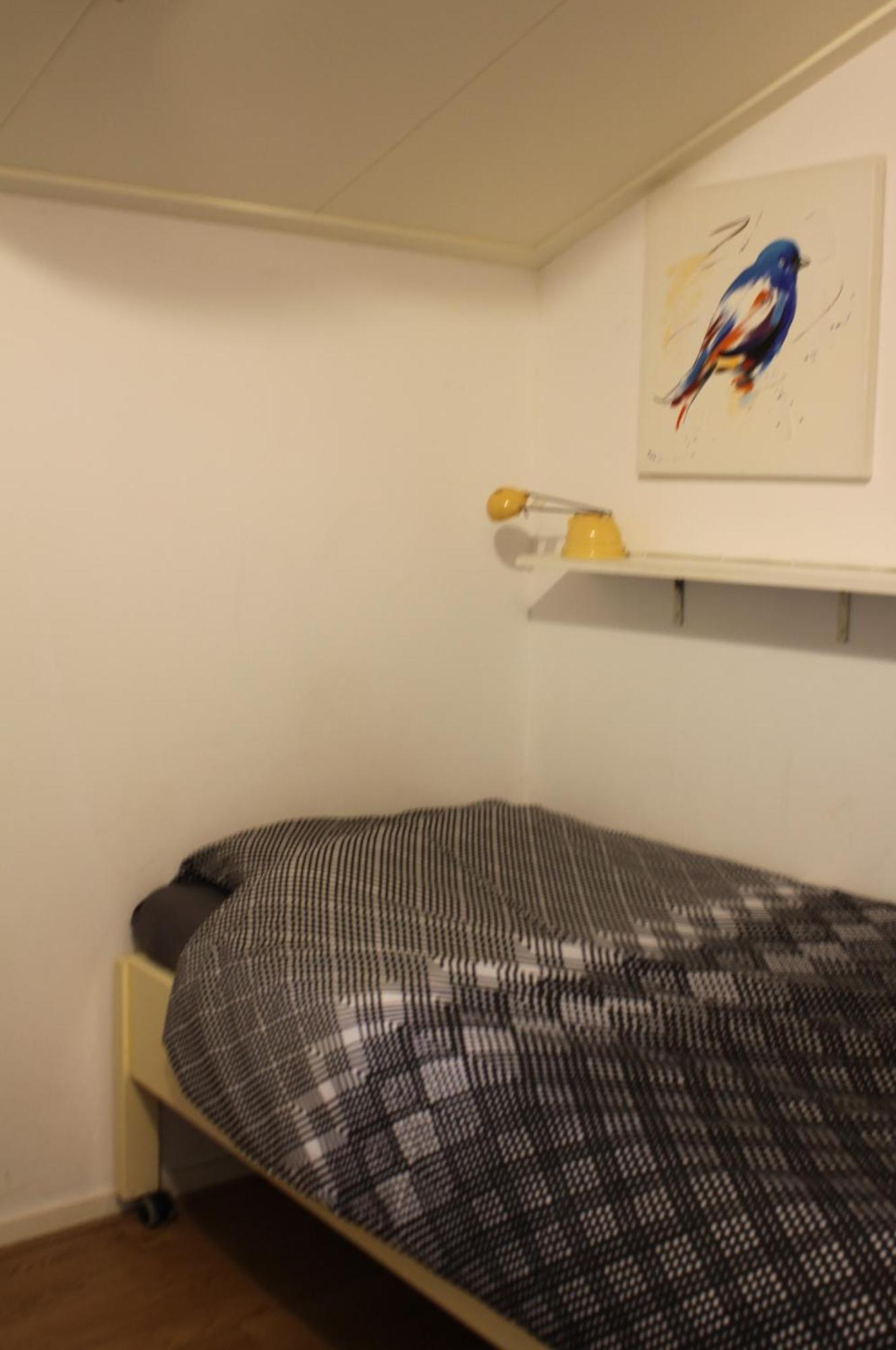 Boerenkiel Vakantiehuisjes De Kiel Bagian luar foto